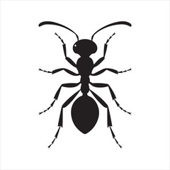 Ant Silhouette Icon – Insect Minimal Vector Illustration