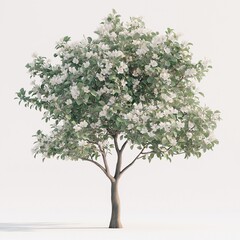 Spring Blooming Flowering Tree with Vibrant Green Leaves in Scenic Nature Landscape - Botanical Illustration for Organic and Sustainable Photography