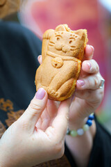 Tokyo, Japan - Sep 30 2024, vertical view of a taiyaki pie in the shape of a Maneki Neko cat, which is held in the hands of a man, at daytime, Tokyo, Japan