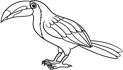 Keel-Billed Toucan Vector Outline Line Art Drawing