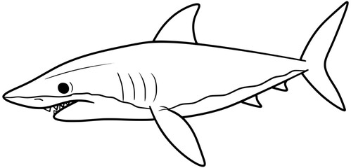 Shortfin Mako Shark Vector Outline Line Art Drawing