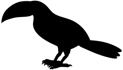 Keel-Billed Toucan Silhouette Vector Bird Shadow Illustration