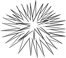 Fototapeta premium Sea Urchin Vector Outline Line Art Drawing