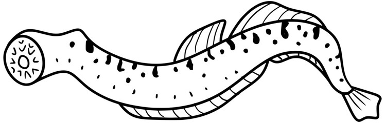 Sea Lamprey Vector Fish Outline Line Art Drawing