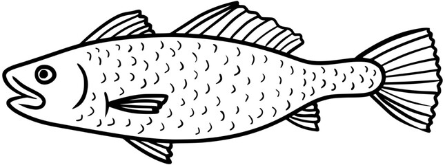 Sand Seatrout Fish Vector Outline Line Art Drawing