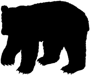 Bear Silhouette Vector Shadow Illustration