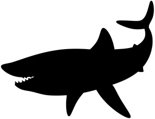 Porbeagle Shark Silhouette Vector Shadow Illustration