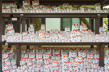 Tokyo, Japan - Sep 30 2024, A close-up view of many multi-sized white beckoning cat figure of Maneki neko with red ears and noses displayed at Gotokuji Temple, without people, at daytime, Tokyo, Japan