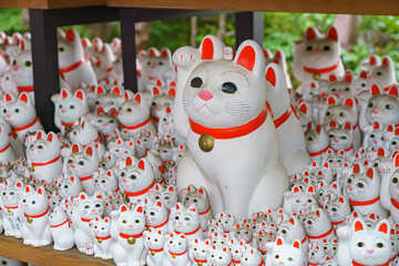 Tokyo, Japan - Sep 30 2024, A close-up view of many multi-sized white beckoning cat figure of Maneki neko with red ears and noses displayed at Gotokuji Temple, without people, at daytime, Tokyo, Japan