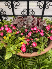 flowers in a garden