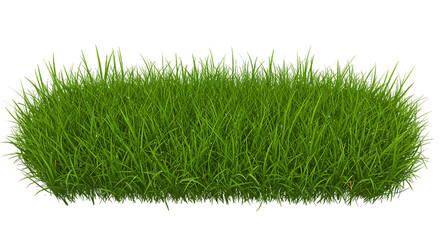 Fresh, vibrant green grass, ideal for various nature and landscape themes.