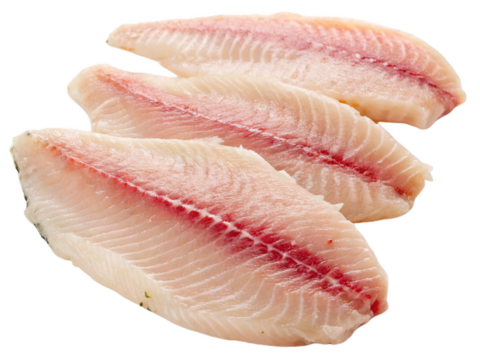 Three slices of raw tilapia fillet fish isolated on white background. Suitable for marketing or business purposes. PNG file