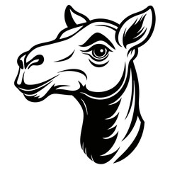 Pencil Sketch Black and White Camel Head Detail