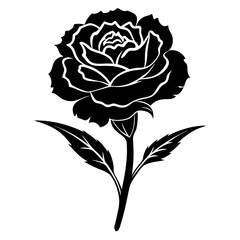 Pencil Sketch Black and White Chinchilla Head Detail