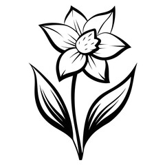 Pencil Sketch Black and White Dove Head Detail