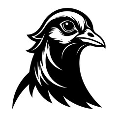 Pencil Sketch Black and White Emu Head Detail