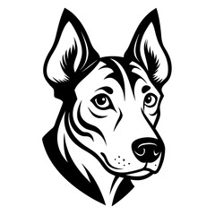 Pencil Sketch Black and White Duck Head Detail