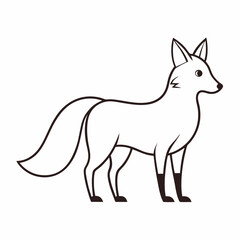 fox on white background 