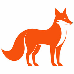 fox on white background 