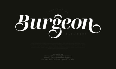 Stylish bold serif typeface with graceful swashes and high contrast, perfect for luxury branding, editorial layouts, and elegant headlines