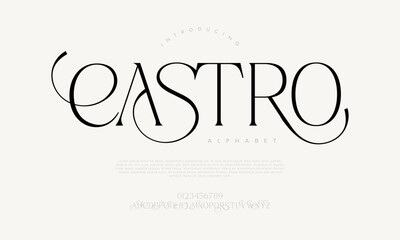 Modern serif font with refined swashes and elegant character shapes, ideal for branding and headlines