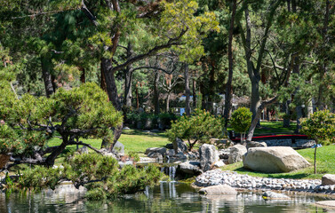 Naklejka premium trees in a park