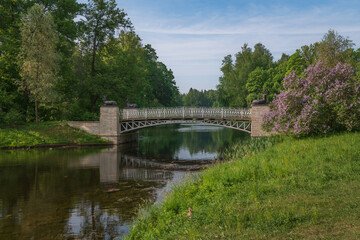 Fototapeta premium View of the Oleniy (Deer) Bridge in the Pavlovsk Palace and Park complex on a sunny summer day, Pavlovsk, St. Petersburg, Russia