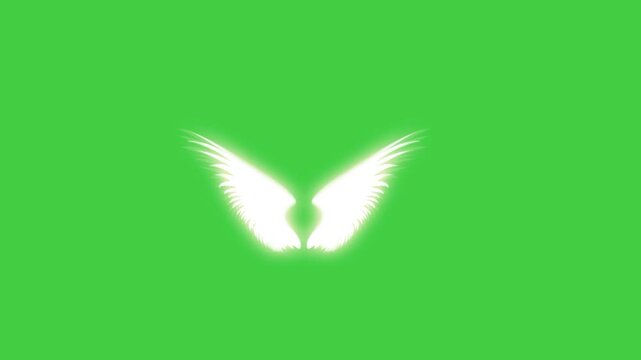 Soft and elegant white wings animation, moving slowly with subtle light effects. Suitable for use as a graphic element in video projects, presentations, or spiritual and fantasy designs.
