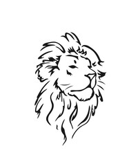 lion vector illustration