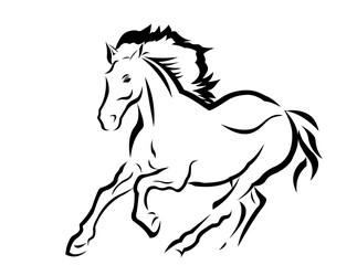black horse vector illustration