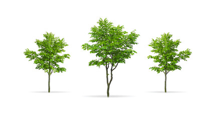 Obraz premium Assembling a team concept with puzzle pieces highlighting leadership and collaboration in a business setting promoting teamwork and success