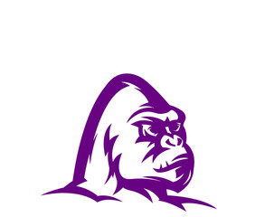 vector illustration of a cat