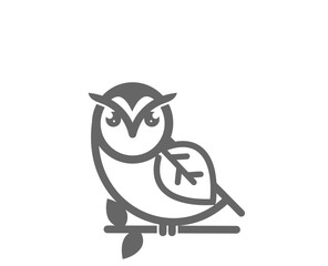 owl on white background
