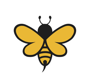 butterfly vector illustration