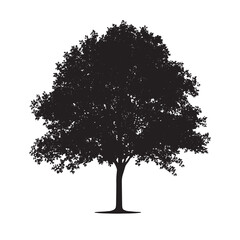 Fototapeta premium Maple Tree Silhouette Art on White