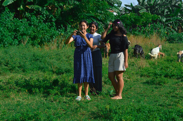 Fototapeta premium One girl takes her turn holding the phone to take a group selfie near grazing goats in the field.