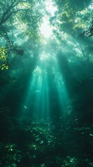 Fototapeta premium Ethereal illumination through foliage, a mystical forest scene evoking tranquility