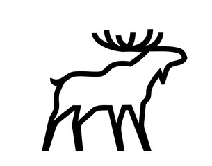 deer vector illustration