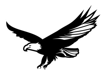 eagle vector illustration