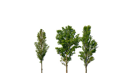 Person using laptop with connected education icons illustrating online learning and knowledge acquisition through digital resources