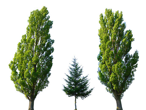 Person typing on laptop with futuristic cloud computing and networking overlays connecting people and information in the digital world