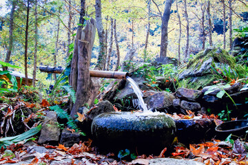 A traditional bamboo water feature with flowing water in a vibrant winter forest. Shot in Hsinchu, Taiwan, this scene evokes tranquility.