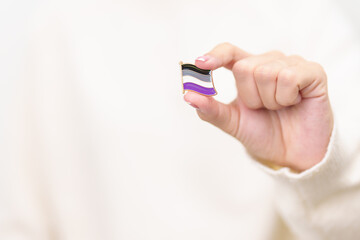 International Asexuality April Day and Happy Pride June month and LGBTQIA with flag Brooch pin for LGBTQ, Marriage Equality Law, Pansexual, Demisexual and transgender