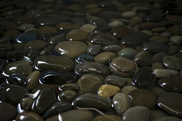 Obraz premium Colorful Polished River Stones Close-Up – Glossy Wet Pebbles Macro Photography.