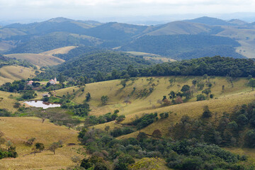 
beautiful mountain landscape with lots of trees and stunning views