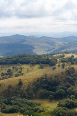 Obraz premium beautiful mountain landscape with lots of trees and stunning views