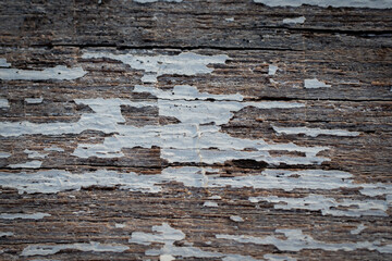 Old Weathered Wood with Peeling White Paint Texture Background