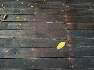 leaves fall on wooden floor, Wooden textured surface with natural leaves background