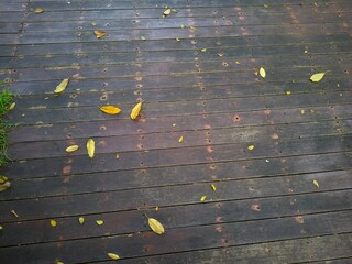 leaves fall on wooden floor, Wooden textured surface with natural leaves background