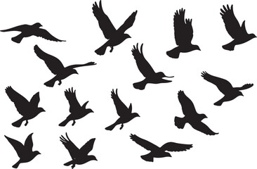 Obraz premium set of silhouettes of birds